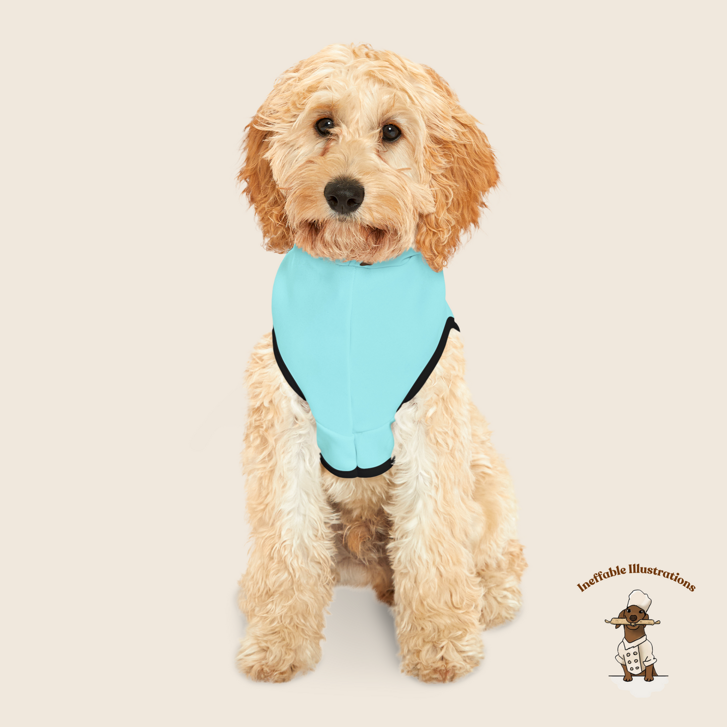 Personalized Dog Hoodie - Cute Dachshund Oliver Custom Pet Apparel, Animal Lover Gift, Cute Puppy Sweater