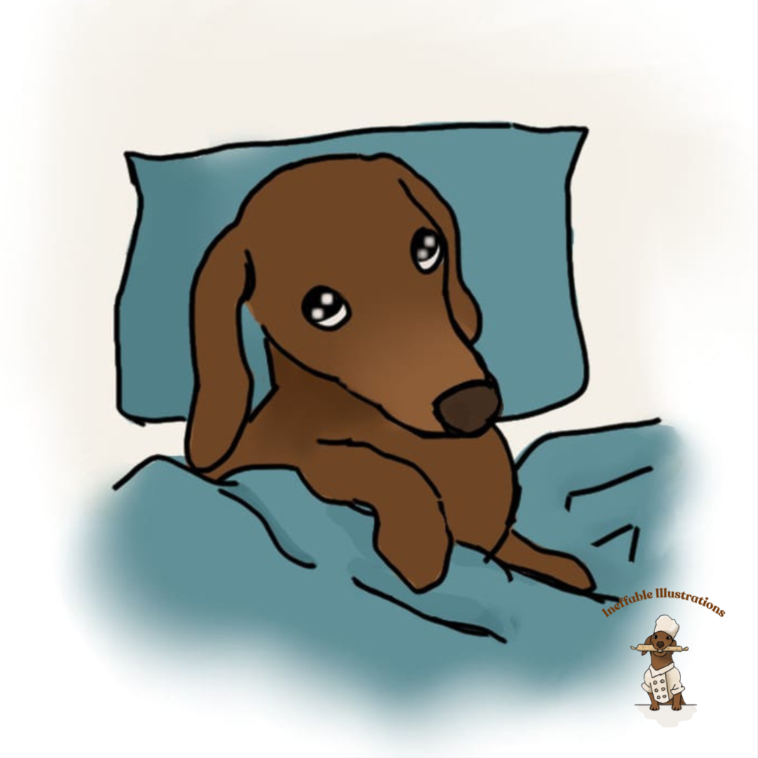 Sticker: Sleepy and lazy dachshund Oliver. Cute Dachshund Design, Lazy Dog Lovers Gift, Funny Pet Decal, Waterproof Vinyl Art - Ineffable Illustrations