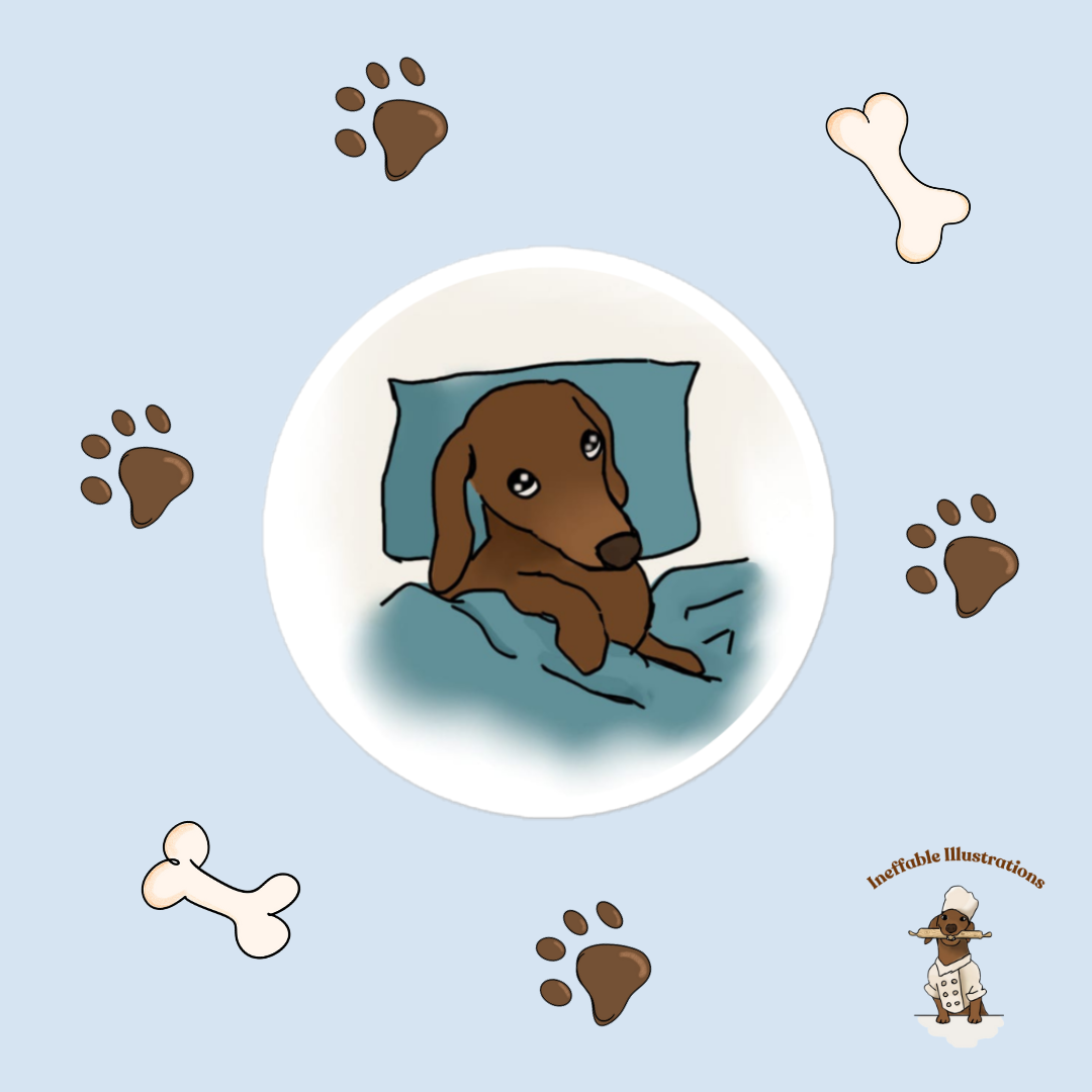 Sticker: Sleepy and lazy dachshund Oliver. Cute Dachshund Design, Lazy Dog Lovers Gift, Funny Pet Decal, Waterproof Vinyl Art - Ineffable Illustrations