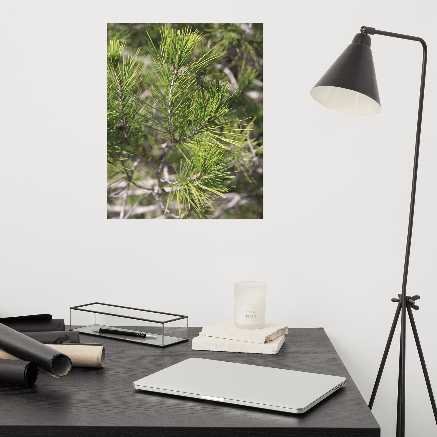 Pine Branch Photo Print. Sunny Day Art Decor, Nature Wall Art, Botanical Print, Fine Art Photography, Home Decor Gift - Ineffable Illustrations