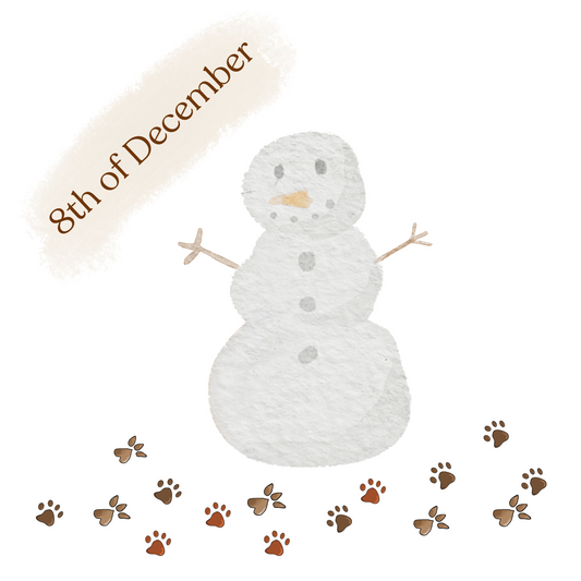 Snowman - Ineffable Illustrations