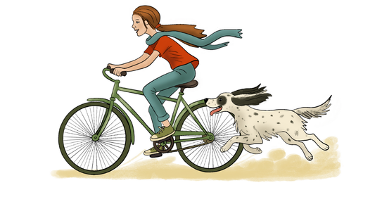 The Great Bicycle Chase adventure story illustration featuring cute characters