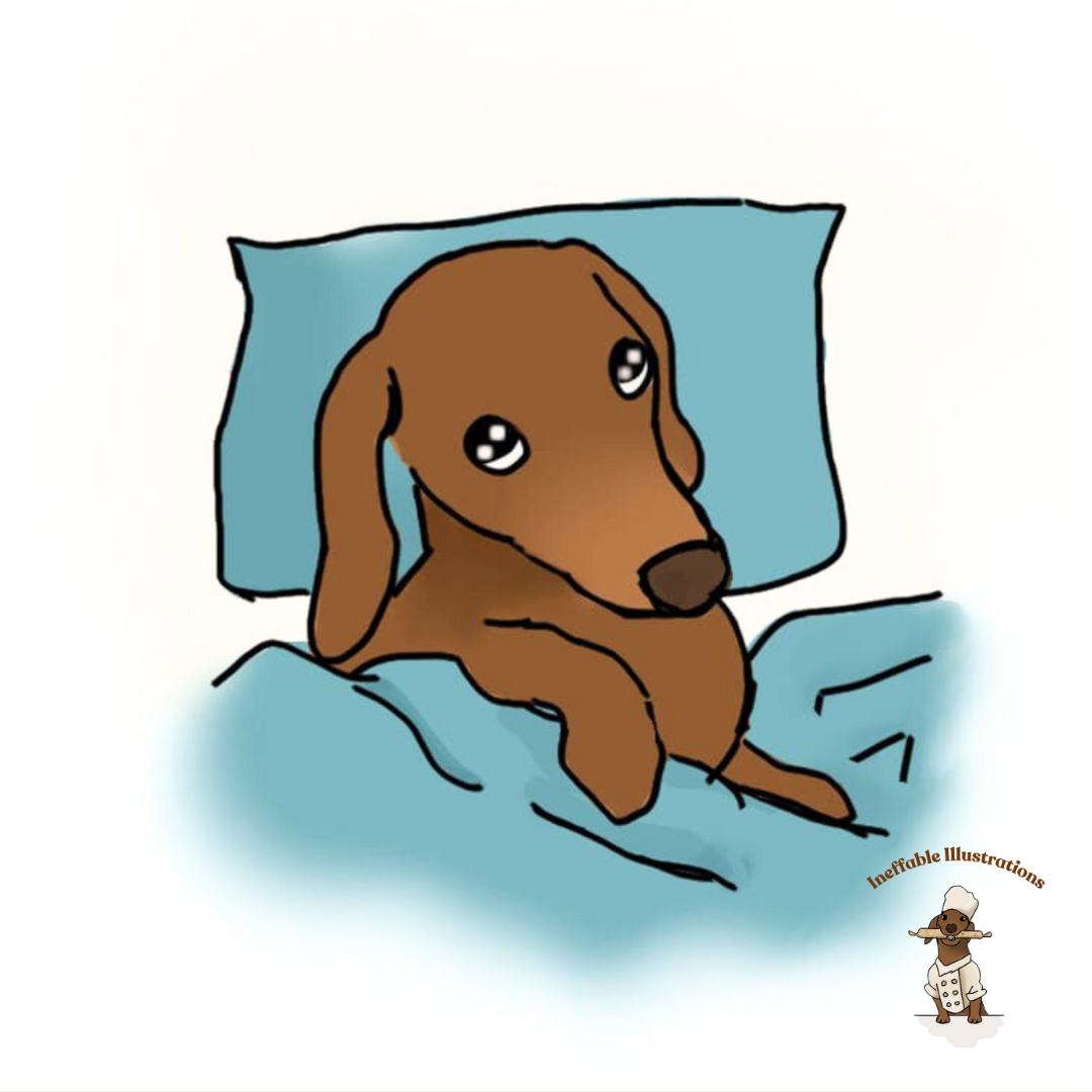 Mug "Sleepy Oliver". Dachshund Mug with Color Inside - Hand-Illustrated Cute Dog Design by Teen Artist, Unique Gift for Dog Lovers & Pet Owners