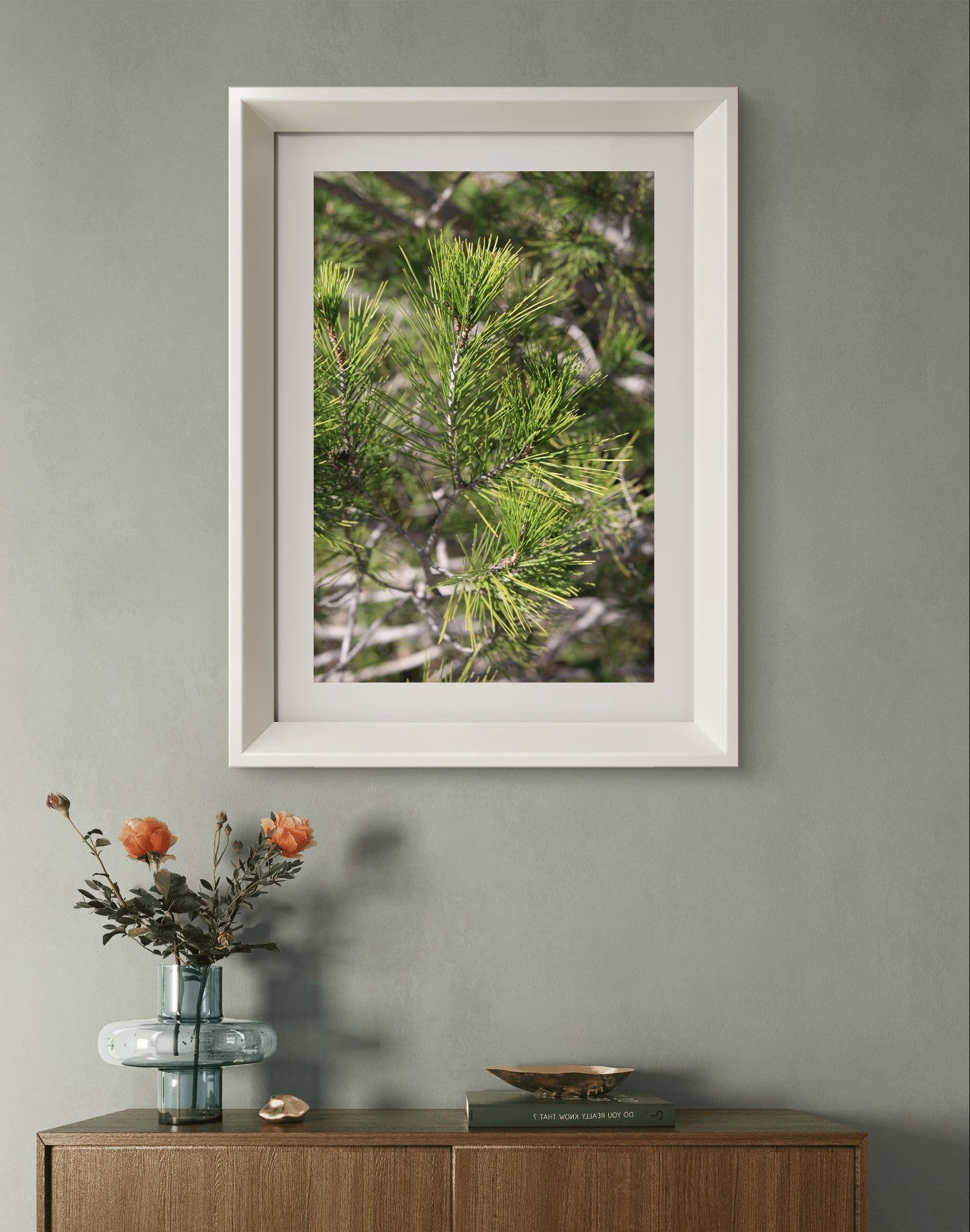 Pine Branch Photo Print. Sunny Day Art Decor, Nature Wall Art, Botanical Print, Fine Art Photography, Home Decor Gift