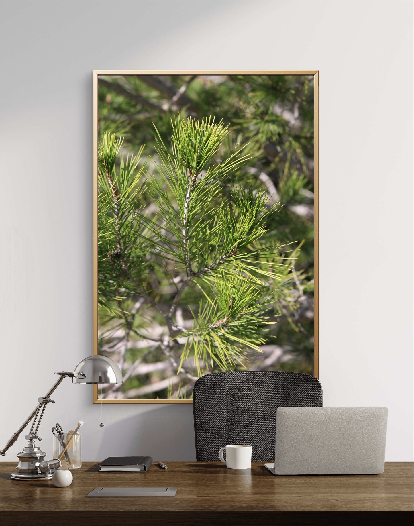 Pine Branch Photo Print. Sunny Day Art Decor, Nature Wall Art, Botanical Print, Fine Art Photography, Home Decor Gift