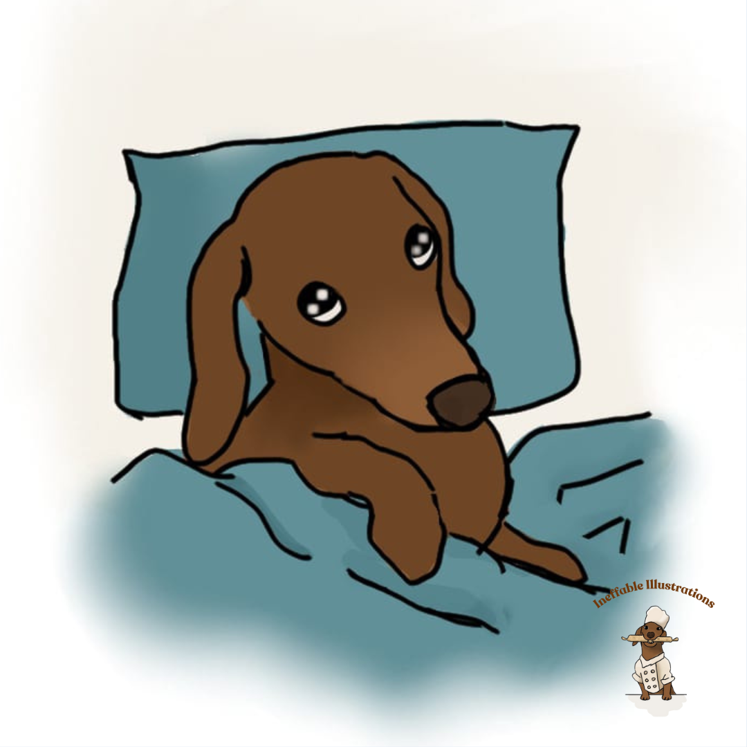 Sticker: Sleepy and lazy dachshund Oliver. Cute Dachshund Design, Lazy Dog Lovers Gift, Funny Pet Decal, Waterproof Vinyl Art